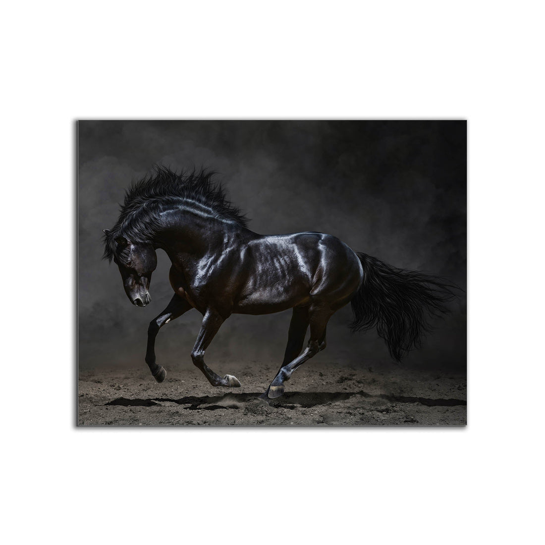 Black Majestic Horse Canvas — Diamond Varnish Wildlife Art