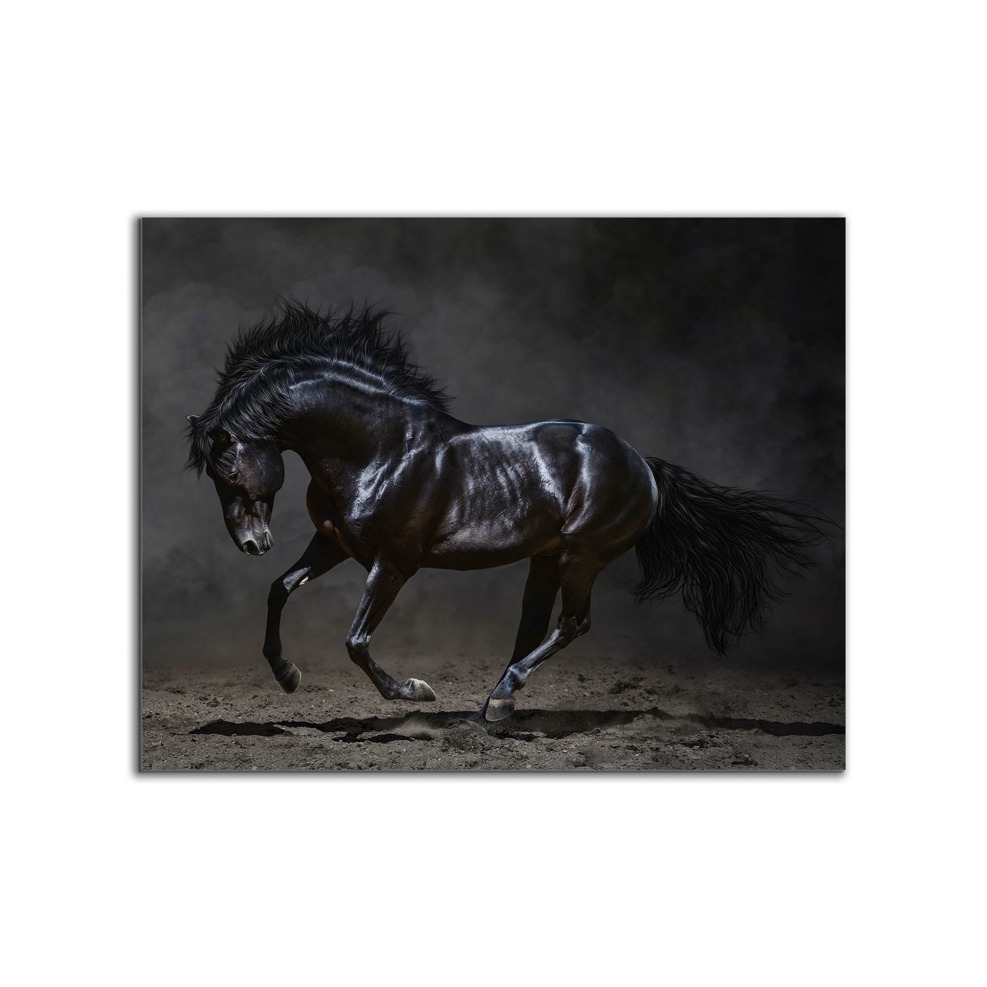 Black Majestic Horse Canvas — Diamond Varnish Wildlife Art