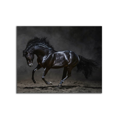 Black Majestic Horse Canvas — Diamond Varnish Wildlife Art