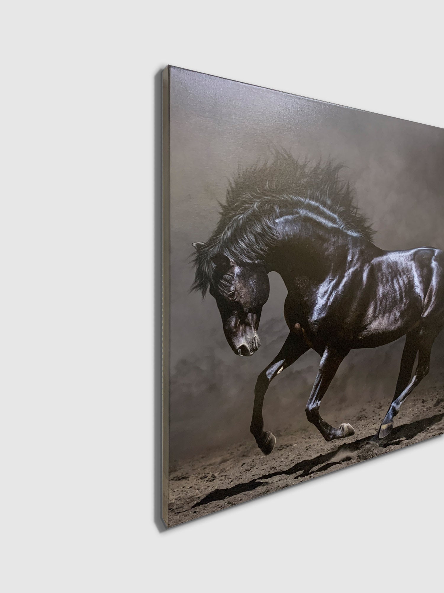 Black Majestic Horse Canvas — Diamond Varnish Wildlife Art