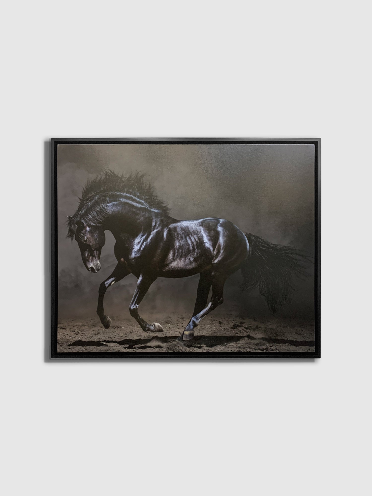 Black Majestic Horse Canvas — Diamond Varnish Wildlife Art