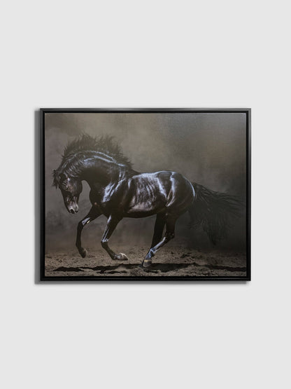 Black Majestic Horse Canvas — Diamond Varnish Wildlife Art