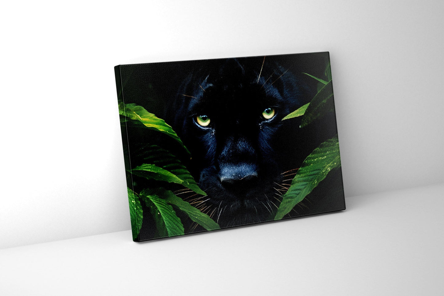 Rare Black Jaguar - Wall Decor-