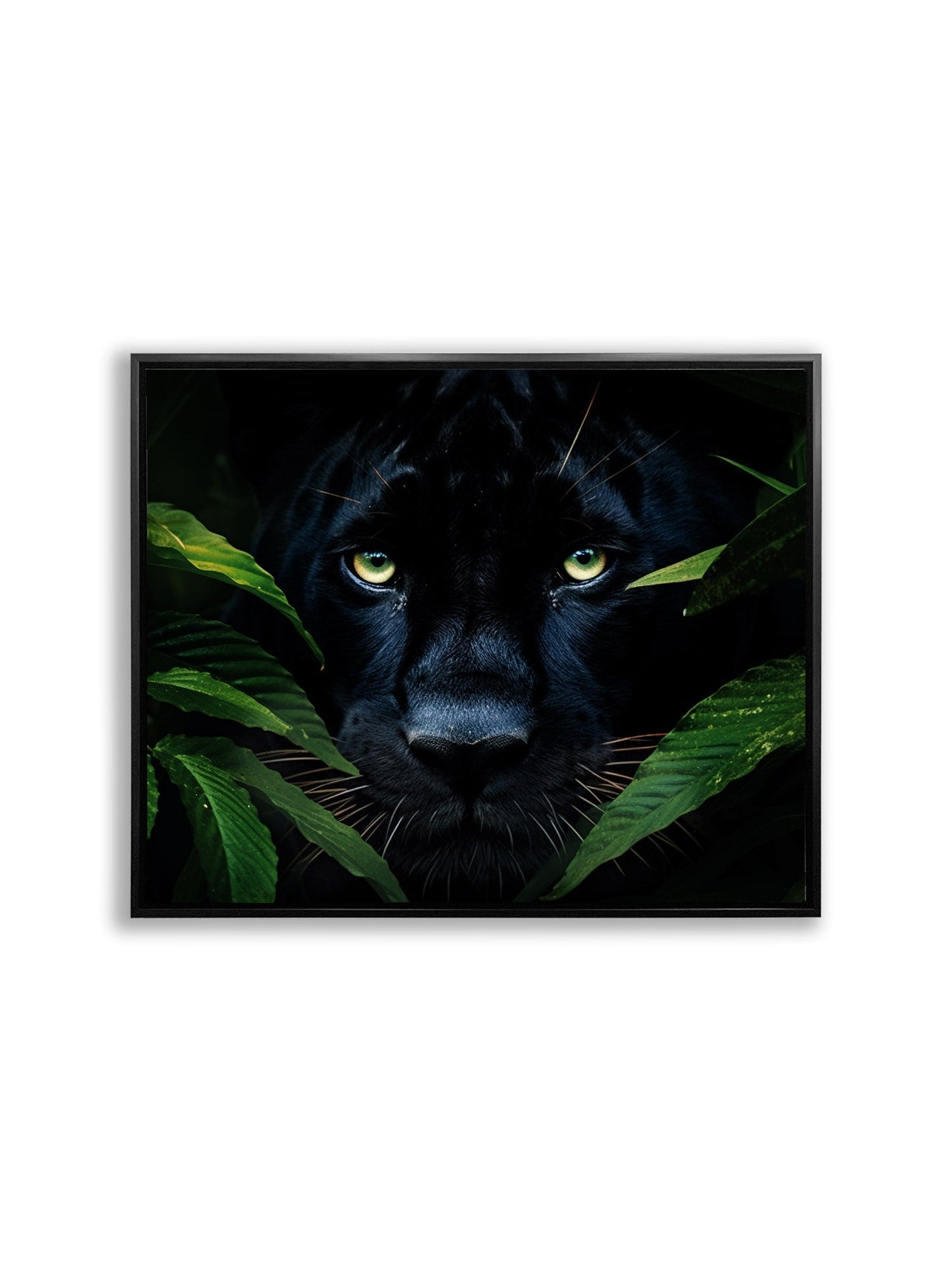 Rare Black Jaguar - Wall Decor-