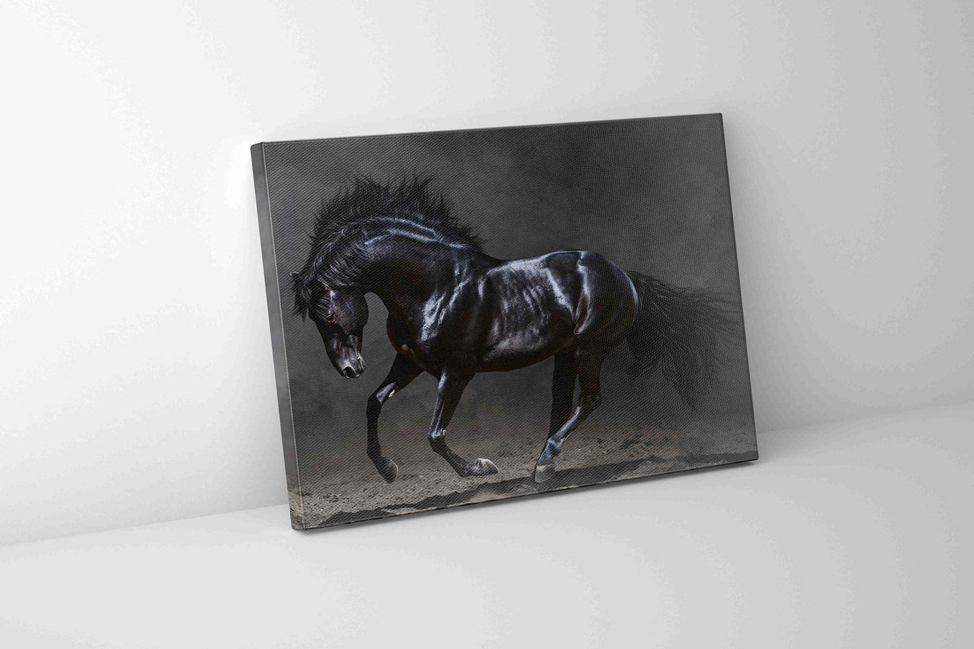 Black Majestic Horse Canvas — Diamond Varnish Wildlife Art