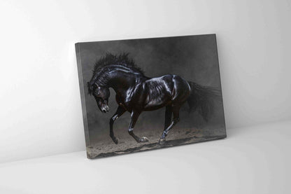 Black Majestic Horse Canvas — Diamond Varnish Wildlife Art